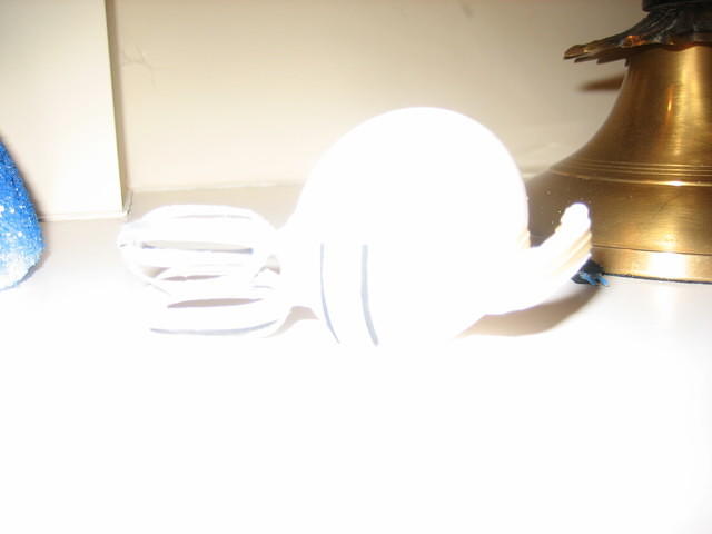 IMG 1818