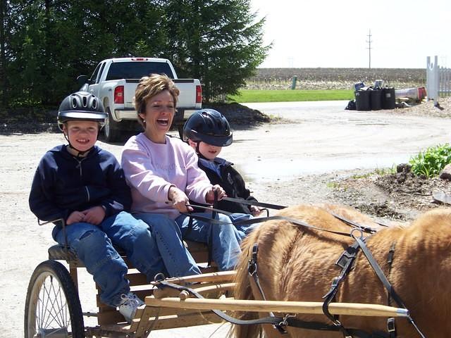 Sulky Ride