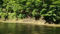 IMG_20170529_104117273