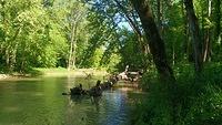 IMG_20170529_104129514