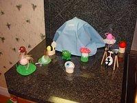 Dsc00300