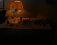 DSCF1398